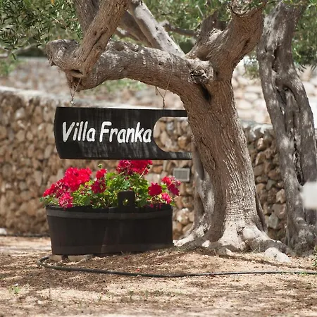 Villa Franka With Swimming Pool Bol Exteriér fotografie
